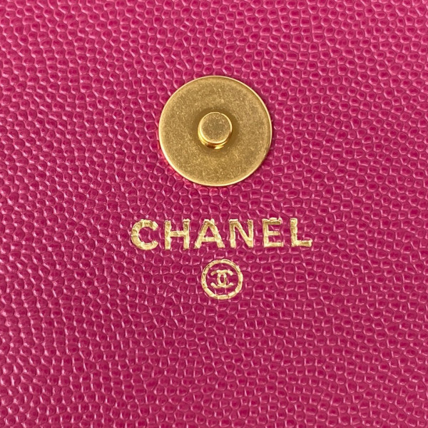 CL FLAP BAG