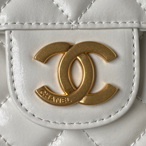 CL HOBO HANDBAG