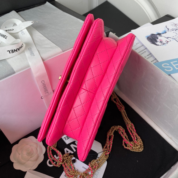 CL SMALL FLAP BAG