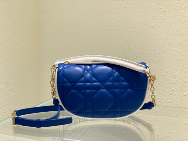 D*or small vibe hobo bag