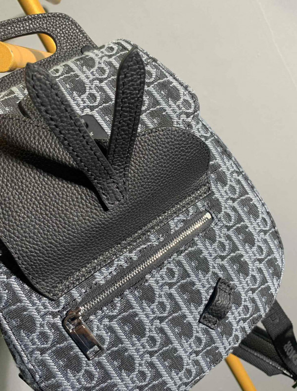 D*or oblique backpack