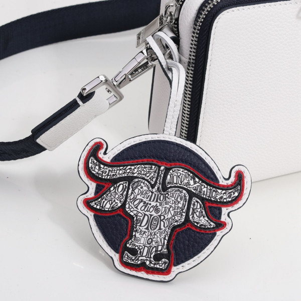 D*or and shawn messenger pouch