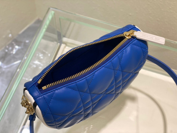 D*or small vibe hobo bag