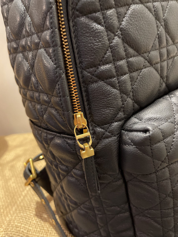 D*or backpack