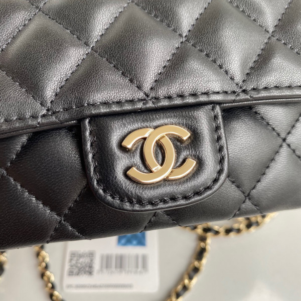 CL GLASSES CASE WITH CLASSIC CHAIN