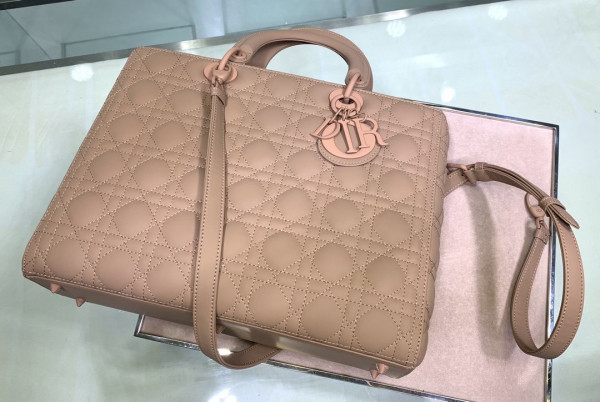 large lady D*or bag