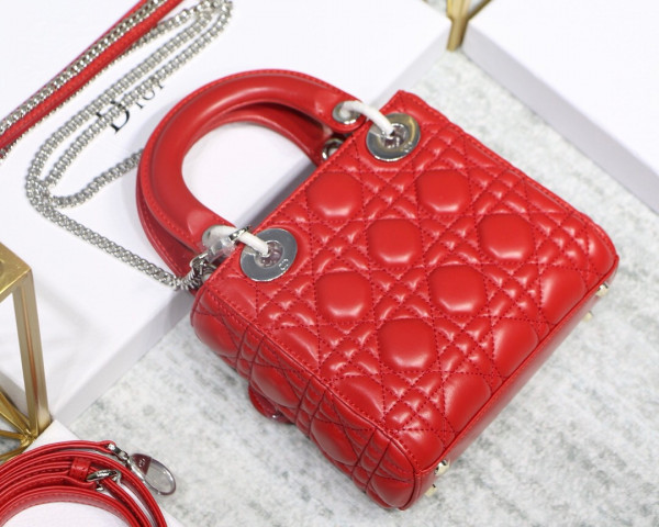 lady D*or mini with lambskin
