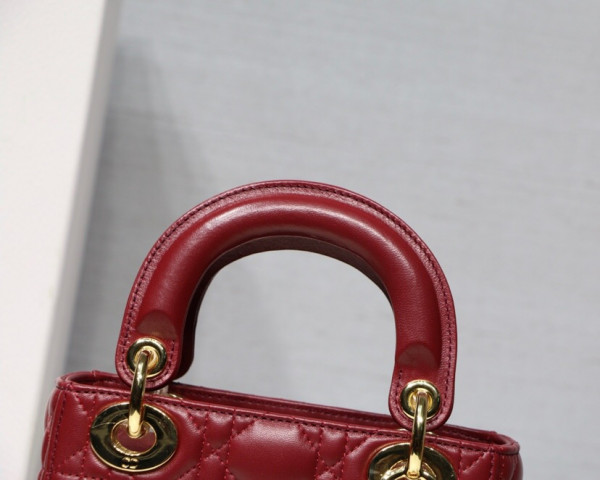 lady D*or mini with lambskin