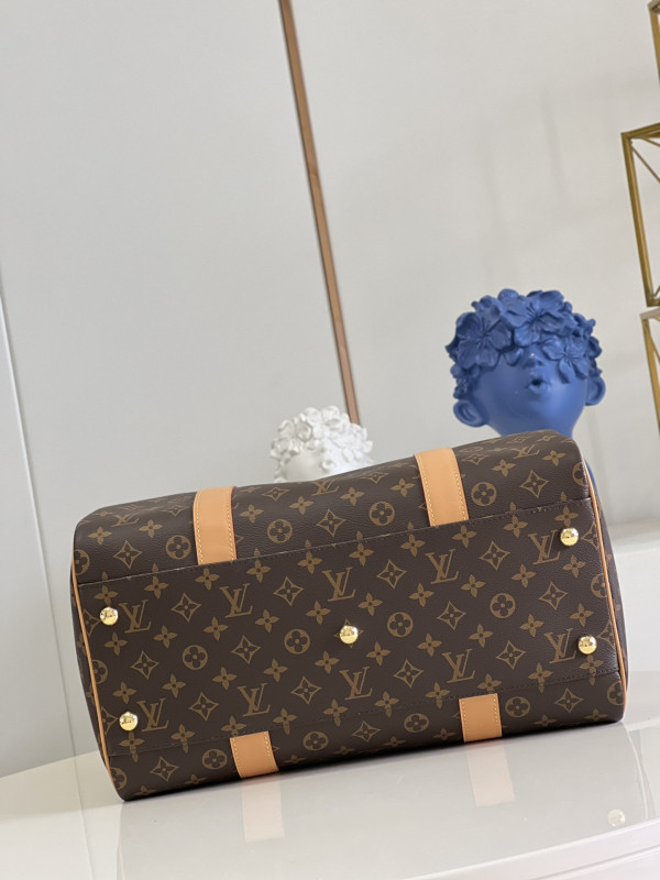 l**is V*t*n carryall