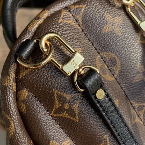 l**is V*t*n palm springs mini new editon