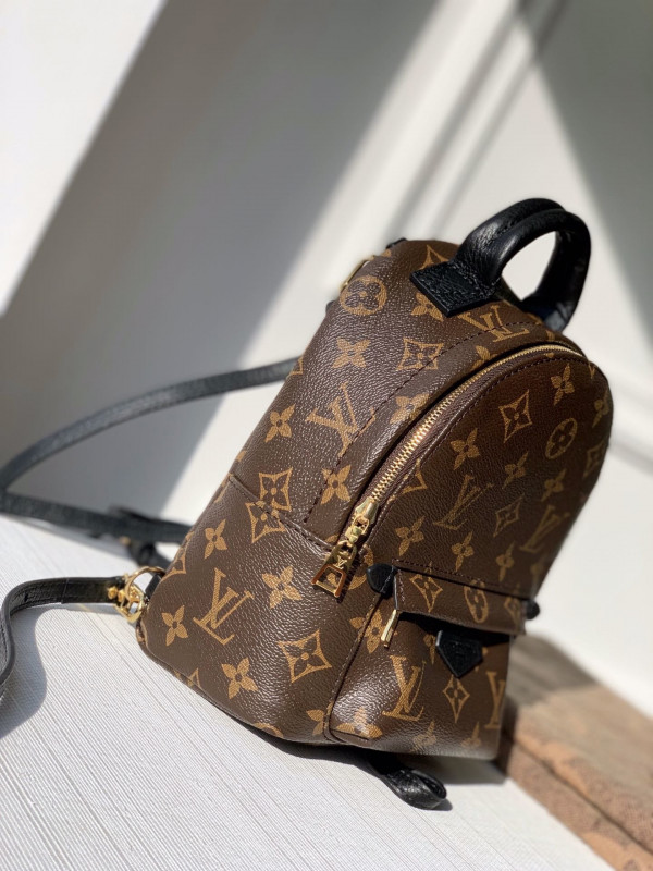 l**is V*t*n palm springs mini new editon