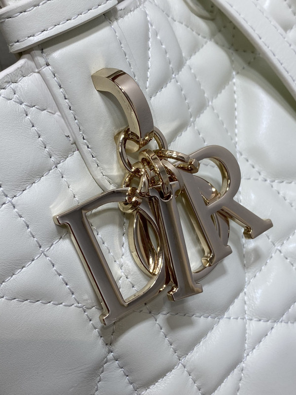D*or small toujours bag