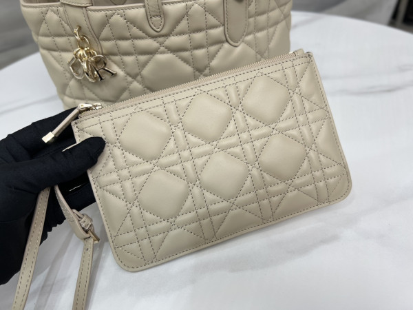 D*or small toujours bag