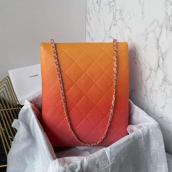CL LARGE HOBO BAG