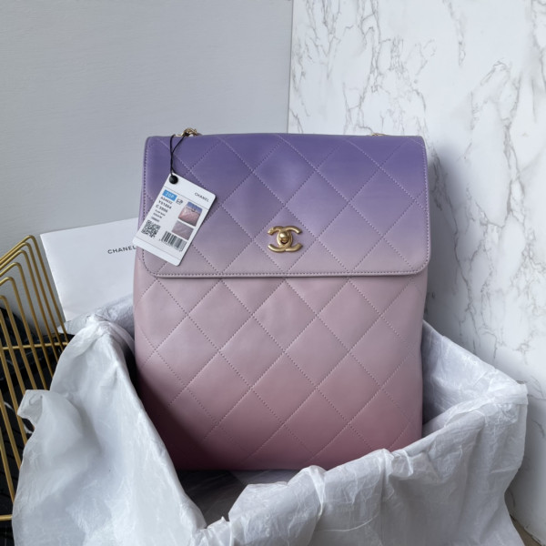 CL LARGE HOBO BAG