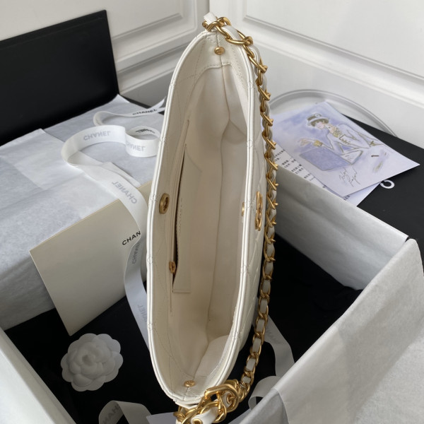 CL LARGE HOBO BAG