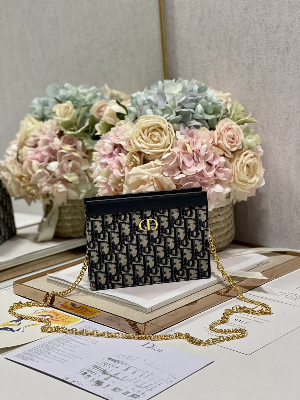 D*or caro zipped pouch with chain