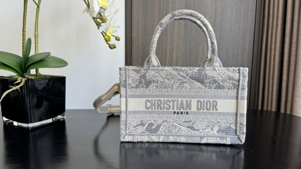 D*or mini book tote-21.5*13*7.5cm